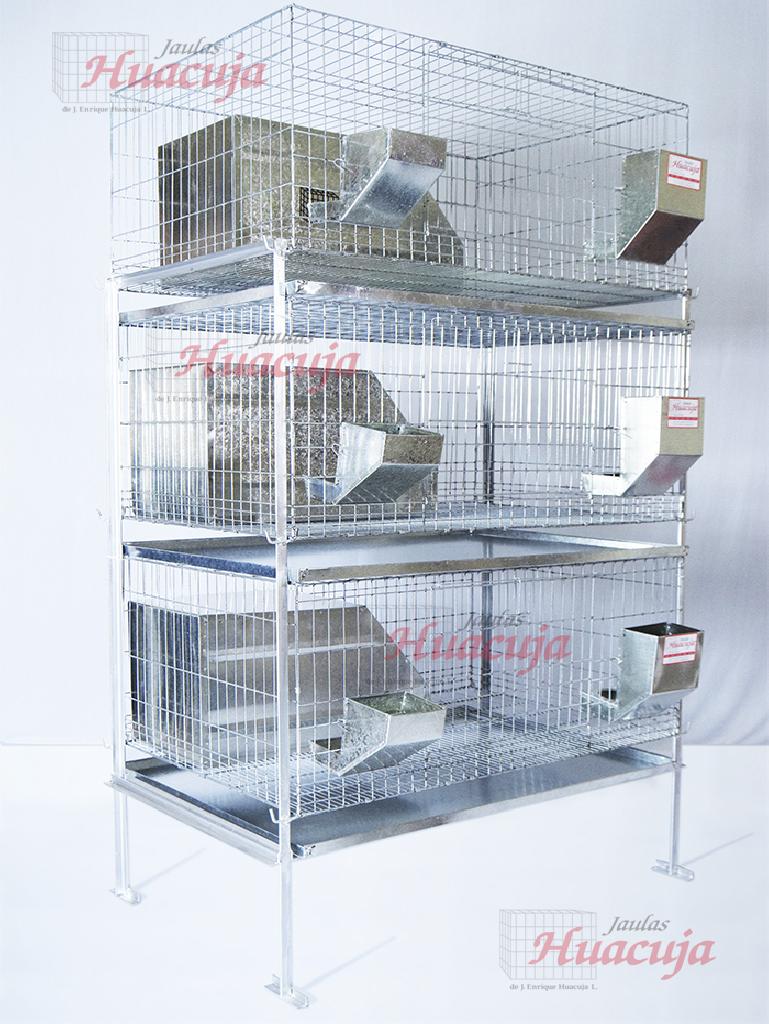 BaterÃ­a de Conejo